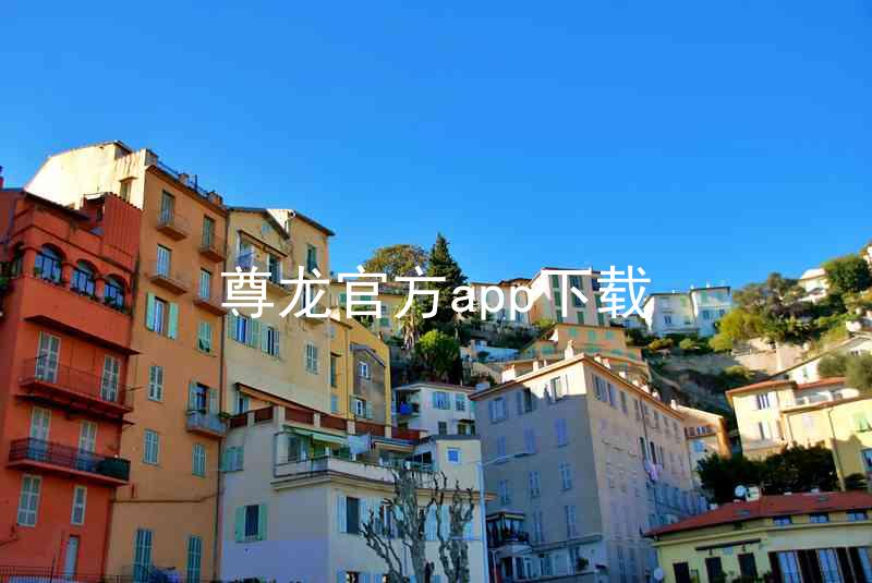 尊龙官方app下载