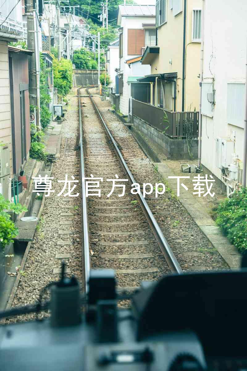 尊龙官方app下载